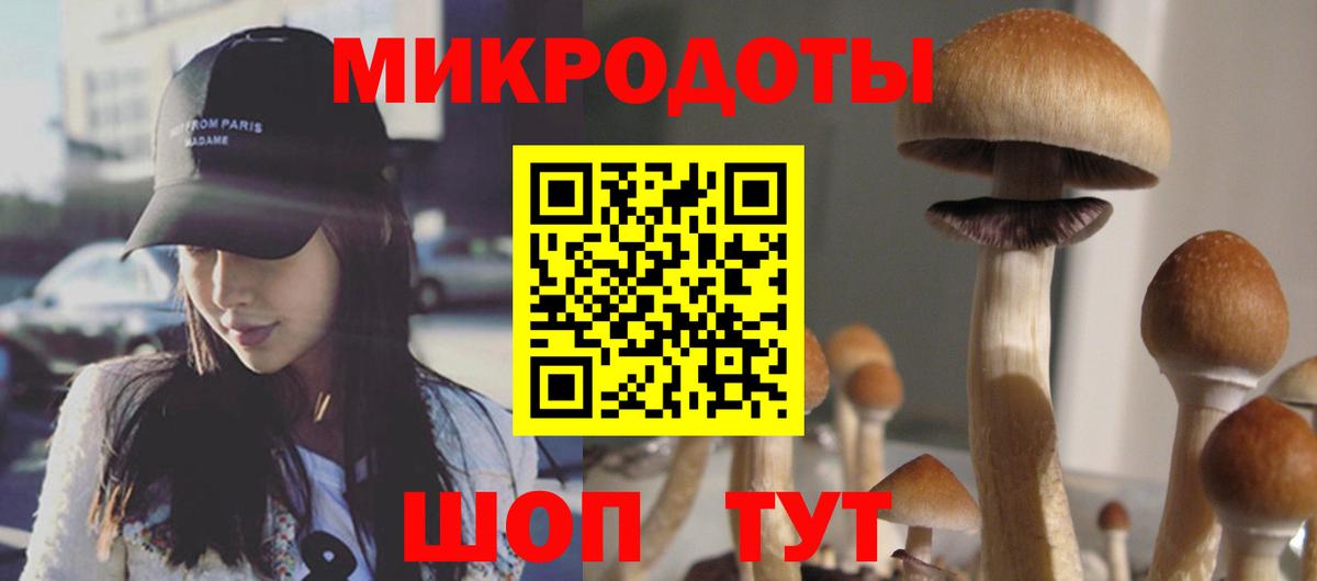 Псилоцибиновые грибы MAGIC MUSHROOMS  Вход с VPN  Гусев 